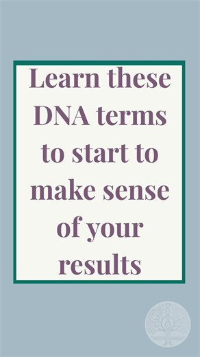 DNA terms can be confusing when you first test. Here’s a simple breakdown to get you started. 🧬 Save this for your next research session! #dnatesting #ancestrydna #genealogy #familyhistory #dnaterminology #learnontiktok #centimorgans #dnamatches #ydna #mtdna