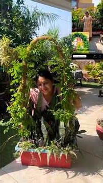 अपराजिता प्लाँट se आर्च कैसे बनाए #diy #garden#nature#gardening #plants#aprajita