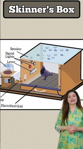 Skinner Box #OperantConditioningChamber #shorts #operantconditioningtheory