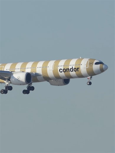 Can You Call This Plane The Candy Plane Airbus A330 Landing at Miami Int'l Airport #aviationvideo #aviationvideography #aviation #aviationlovers #airplanespotting✈️ #planespotting #aircrafts #airplanespotting #miamiairport
