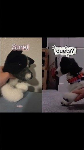 But that's sad @support-stuffies #crush #essa #funny #emotionalsupportstuffanimal #essacommunity