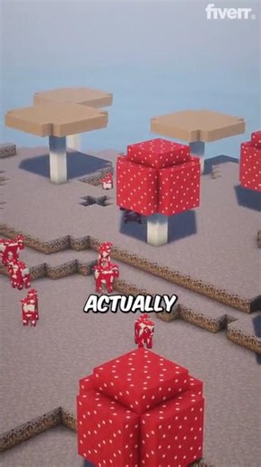 RAREST Biome in MINECRAFT!?