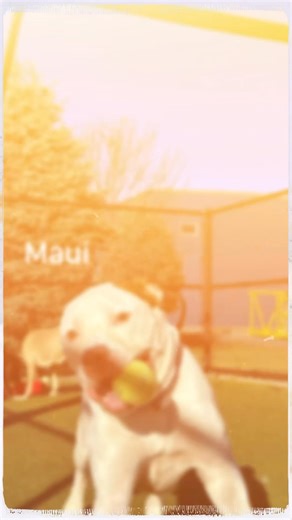 8K views · 131 reactions | Behind the Scenes: What are some of the...