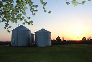 10 Things You Should Know About The Agriculture Industry