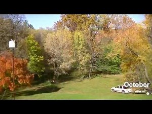 The Season's - Filmed everyday for 1 year