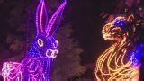 Zoo Lights preview lights up at Oregon Zoo