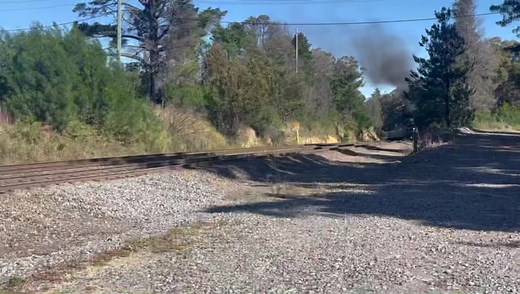 168K views · 8.7K reactions | The team wasted no time getting back out onto the network today!  Australia’s largest operating steam locomotive, Beyer-Garratt 6029, along with vintage diesel locomotive 4501 made a quick trip to Goulburn today. The operation was undertaken to retrieve Southern Aurora carriages stored at Goulburn, as well as test 6029 and 4501 following recent repairs. That’s one heavy train! ️‍♀️ | Transport Heritage NSW | Facebook