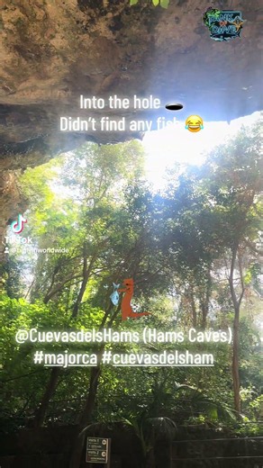 Caves in Majorca #fishing #fish #fishkeepinghobby #aquarium #cuevas #hugefish #fishtank #whalefin