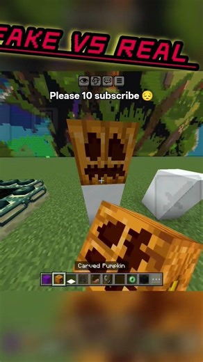 #minecraft fake vs real