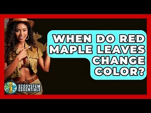 When Do Red Maple Leaves Change Color? - Ecosystem Essentials