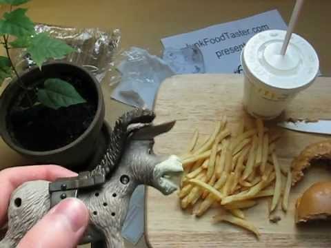 Happy Meal McDonald's Shrek Donkey