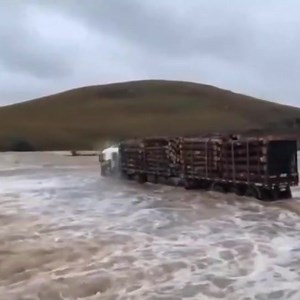 348K views · 10K reactions | Trucks World on Reels | Facebook