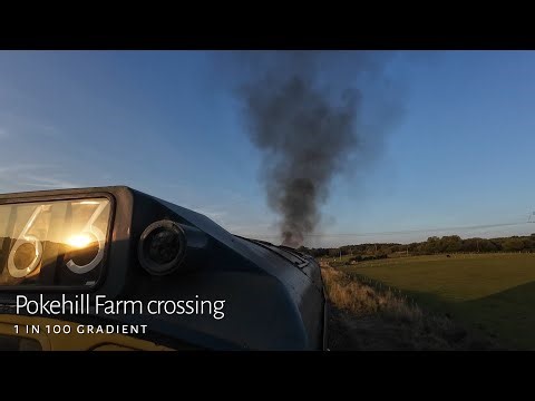 25185 Thrash | SpaVR | 2025/08/09