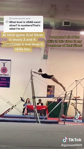 Xcel Silver Gymnastics Skills Levels 3-4