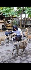 65K views · 3.3K reactions | The shelter is finding it increasingly...