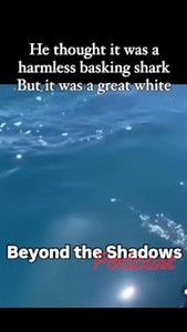 51K views · 2.8K reactions | Podcast link in bio...