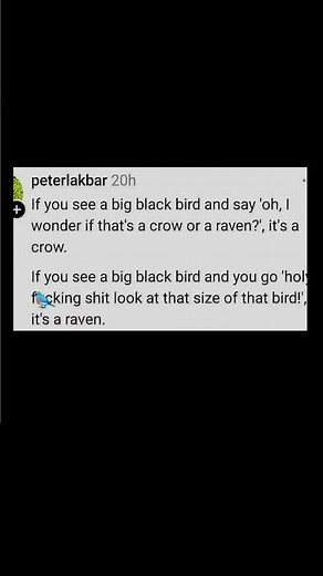 crow vs raven explained 😅 | Subscribe for more #motivation 😊👍