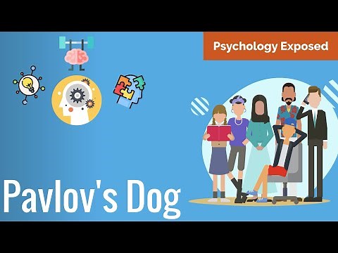 How Pavlovian Conditioning Shapes Our Behaviour (Pavlov's Dog)