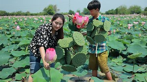 40K views · 3.4K reactions | A table of lotus food Harvest lotus root and pick fruit for cooking | Cooking With Sros | Facebook