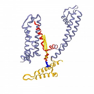 Detailed map of ion-channel structure could steer development of new therapeutic strategies for epilepsy