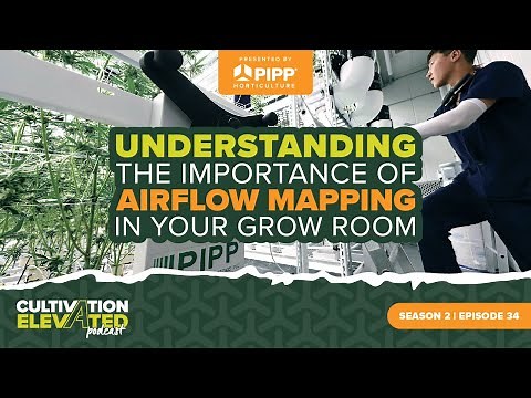 Understanding the Importance of Airflow Mapping in Your Grow Room