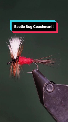 Beetle Bug Coachman Fly Tying Tutorial