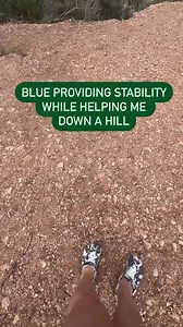 20K views · 556 reactions | Most often Mum shows me guiding. But on a...