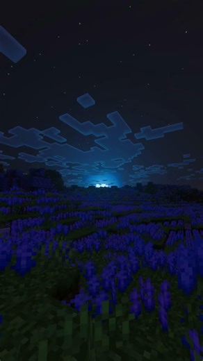 My first time doing minecraft photography