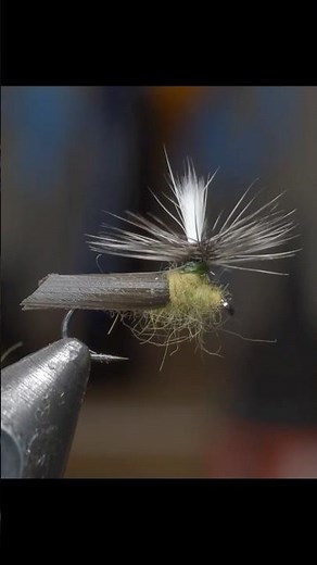 Schroeders Parachute Caddis #shorts
