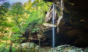 Discover the Tallest Waterfall in Kentucky