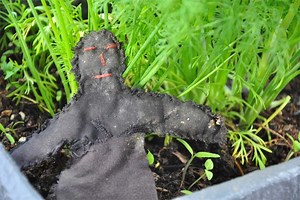 Voodoo vs Christianity - fark ve karşılaştırma - Blog 2026