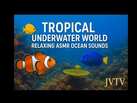 🐠 Tropical Underwater World | Relaxing ASMR Ocean Sounds 🌊