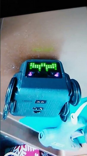 RIP Boxer Robot Black