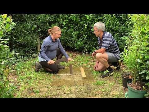Forest school- demonstrating safe use of billhook