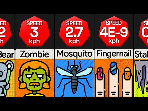 Comparison: Slowest Things