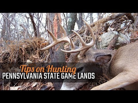 Tips on Hunting Pennsylvania State Game Lands