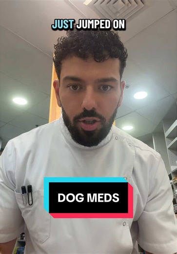 Essential Medications and Tips for Your Dog