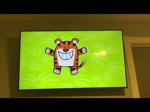 BabyFirst Wonder Box Ice cream Frog Giraffe Kangaroo and Tiger Squirrels