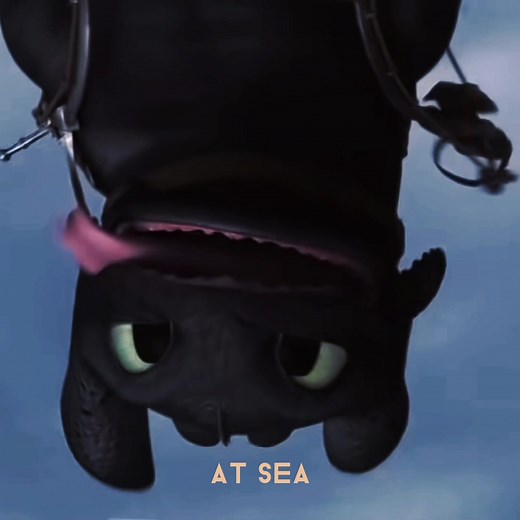 Toothless and Hiccup's Heartwarming Reunion Edit