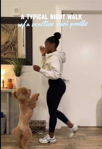 not always easy but so worth it 🥰 | treats from @Open Farm Pet and wipes from @HICC Pet US #minipoodle #dogwalkroutine #reactivedog #dogtraining #openfarmdogfood