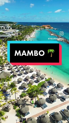 📍Mambo Beach 🌴☀️ Curaçao, Caribbean Island 🇨🇼 #mambobeach #groteknip #kenepagrandibeach #thecuracaobible #curacao #curaçao #islandlife #caribbean #beautifuldestinations #beach #beachtherapy #bluewater #snorkelaroundtheworld #curazao #paradiseisland #vacation #beach #clearwaterbeach #mambobeachcuracao #beachvibes #explore #travel #dronelife #korsou #hotspots #traveltips #traveltheworld #wanderlust #casabaobeach #beautifuldestinations #beach #clearwaterbeach #korsou #igtravel #instatravel