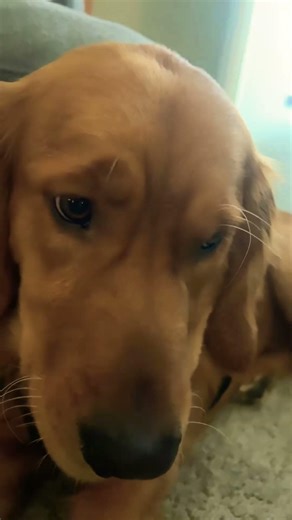 Watch my rant account splashyrants