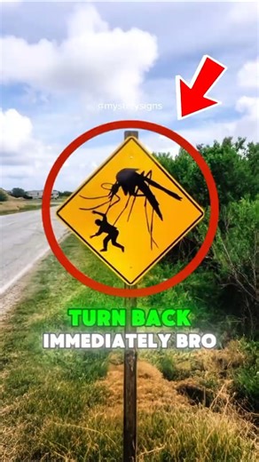 Would You Enter a Forest With This Sign 😱?