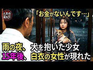 雨の夜「お金はないです」骨折した犬を抱えた10歳の少女→獣医が追い出せなかった理由→15年後、白衣の女が現れた【感動する話】