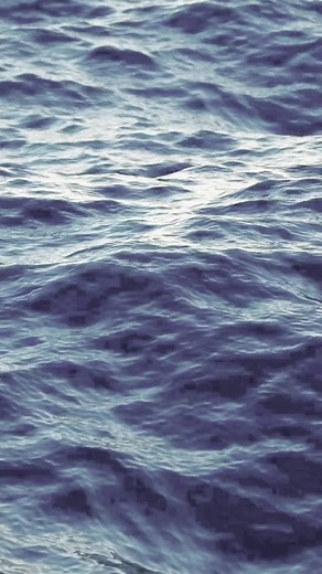 🔥プロフのtwitter見てみ？🔥#おすすめ #おもしろ動画 #笑える #twitter