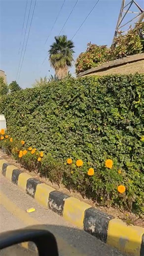 Creative ideas 💡 turning the Power Line Tower 🗼 into Fresh looking green 💚 universe