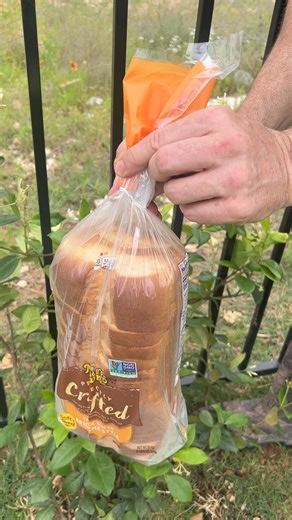Use bread for your garden 🪴 #gardenhack #gardening | Jennifer Harrison