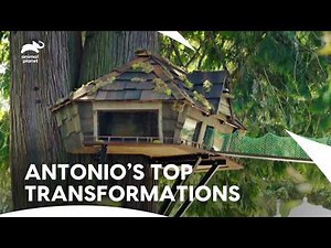 The Most Impressive Animal Cribs Builds of All Time | Animal Cribs S2 E11 | Animal Planet