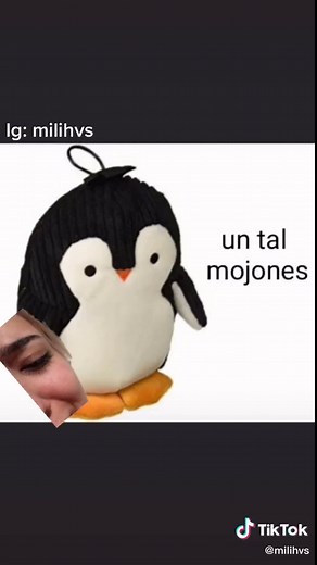 APAAA 😡😡 ##voiceeffects #humor #pinguino #fyp #onedirection