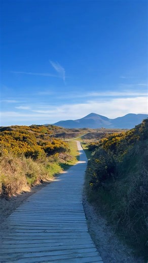 A stunning beach boardwalk in NI 🌊